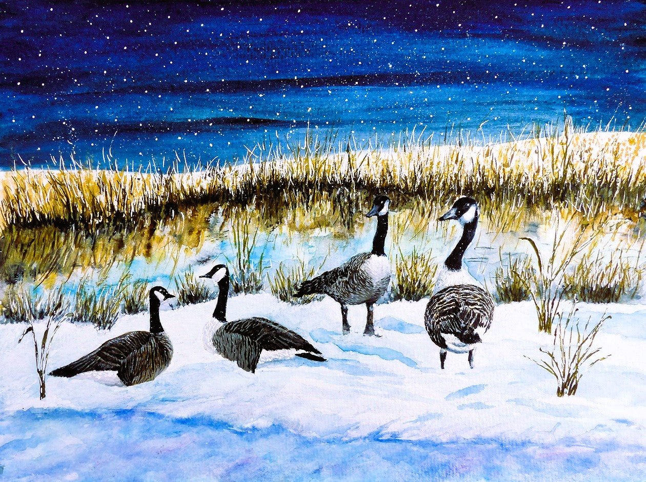 'Canada Geese' Winter Nature Greeting Card