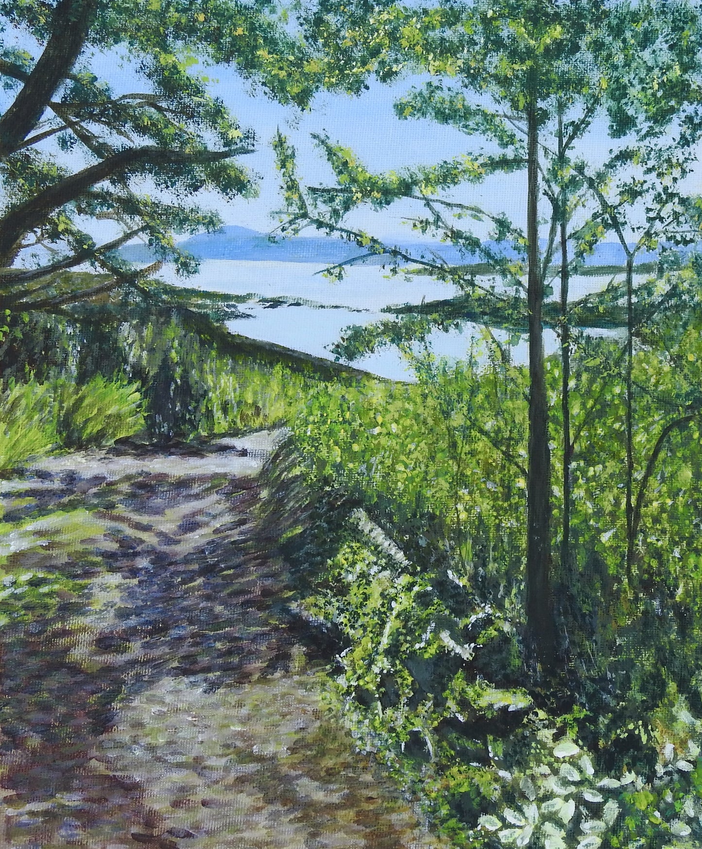'Woodland trail to the sea' Irish Landscape Greeting Card